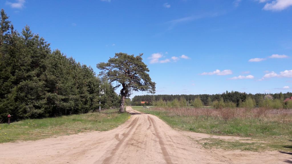 Apartamenty Jezioro i Las Powalczyn Exterior foto